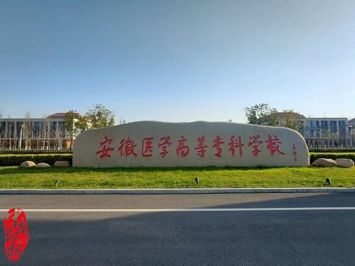 中南藥機︰安徽醫(yī)學高等?？茖W校 “1+X”藥物制劑生產(chǎn)職業(yè)技能設備安裝調試